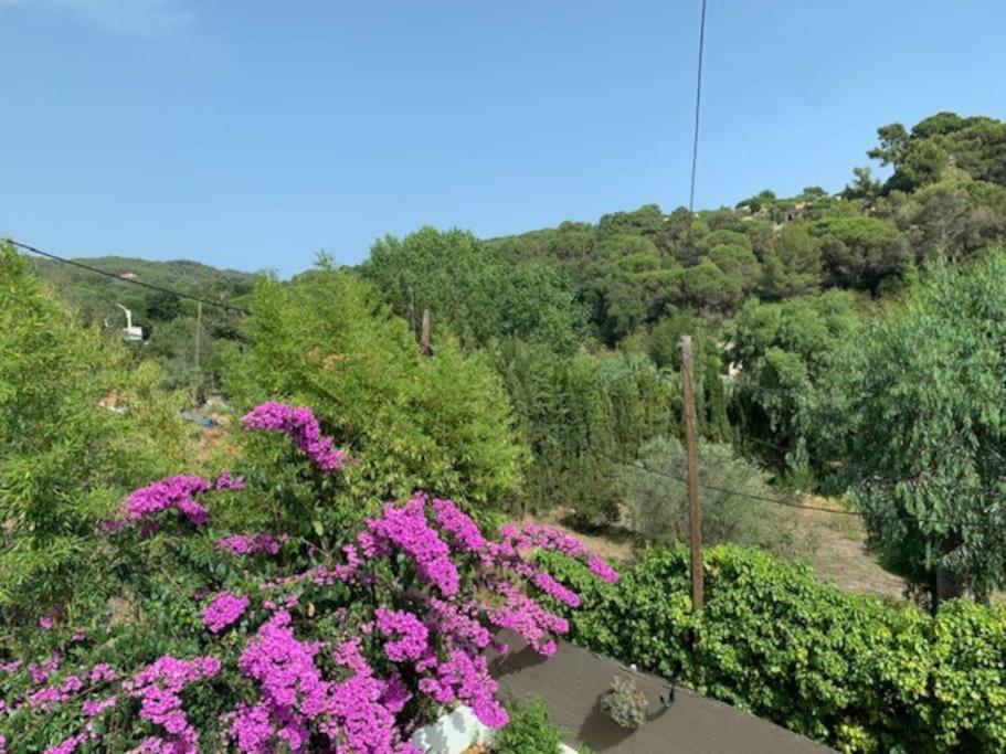 T2 Climatise + Parking 500 M Plage/centre Appartement *