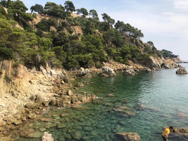 T2 Climatise + Parking 500 M Plage/centre *