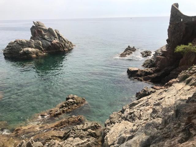 Appartement T2 Climatise + Parking 500 M Plage/centre
